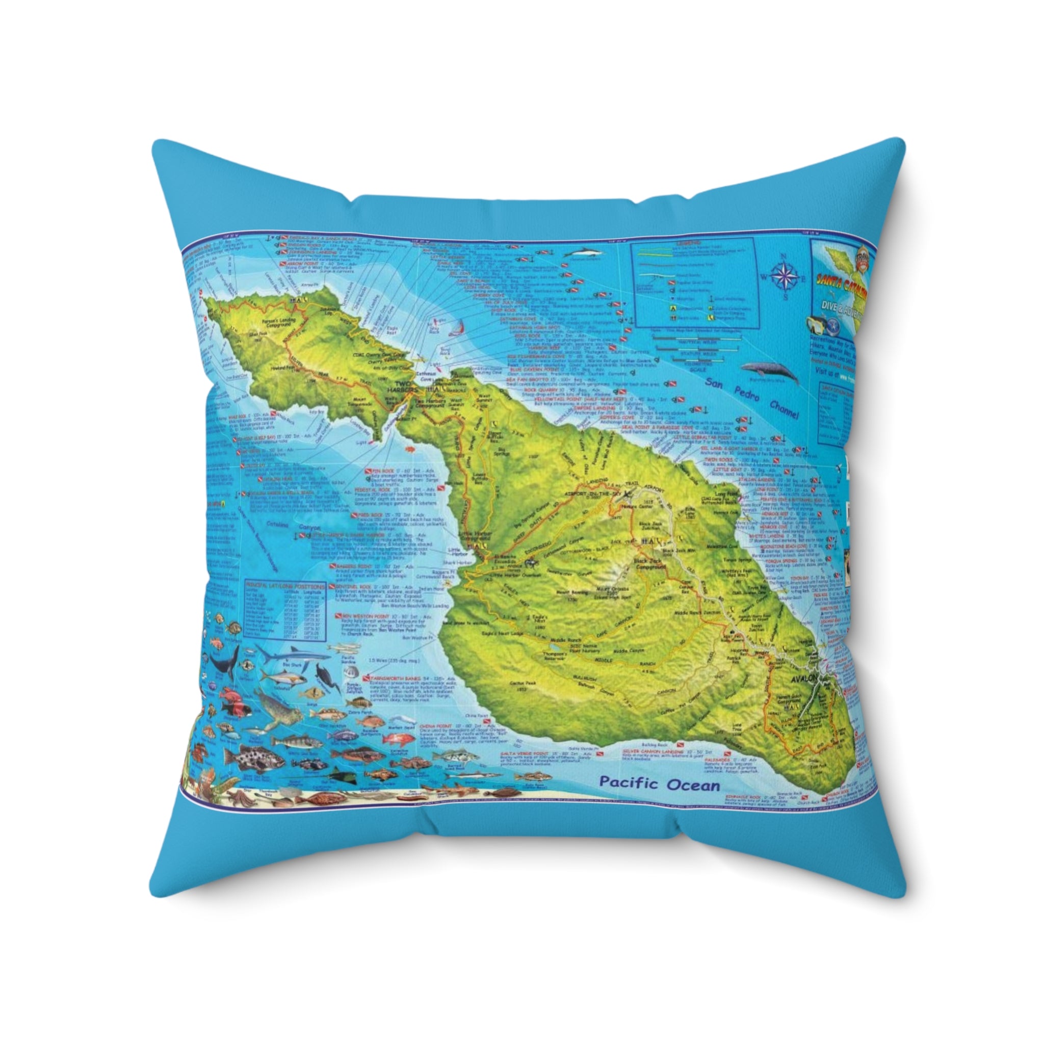 Santa Catalina Island California 90704 #2 Spun Polyester Square Pillow