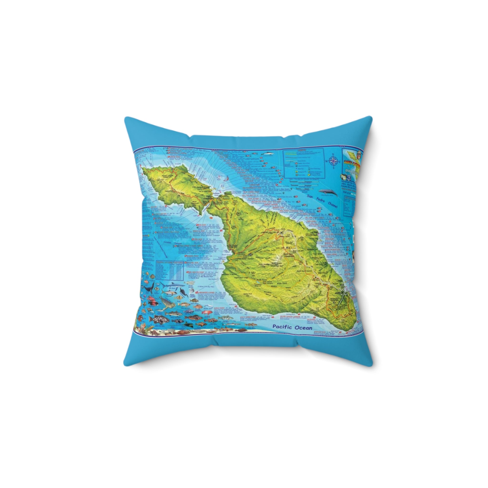 Santa Catalina Island California 90704 #2 Spun Polyester Square Pillow