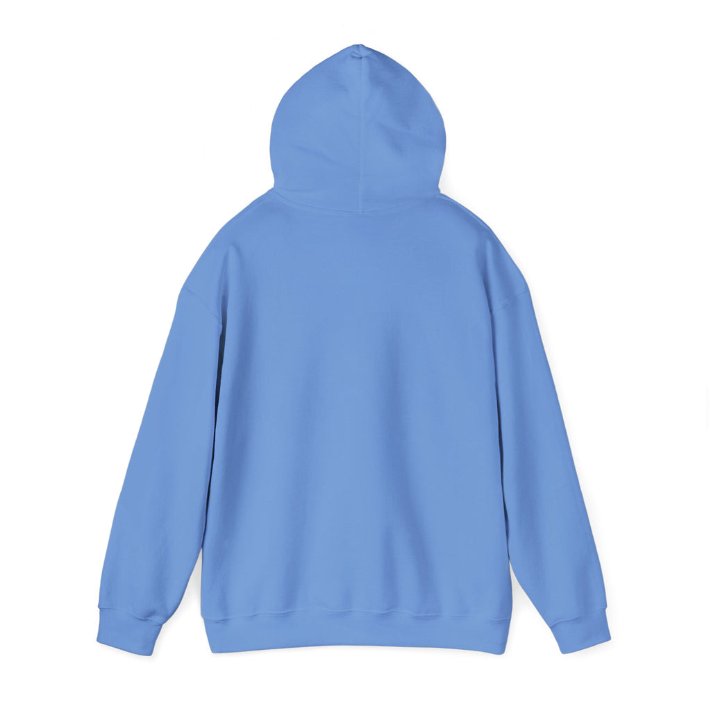 Manhattan Beach South Bay California Unisex Heavy Blend™ Hooded Sweatshirt
