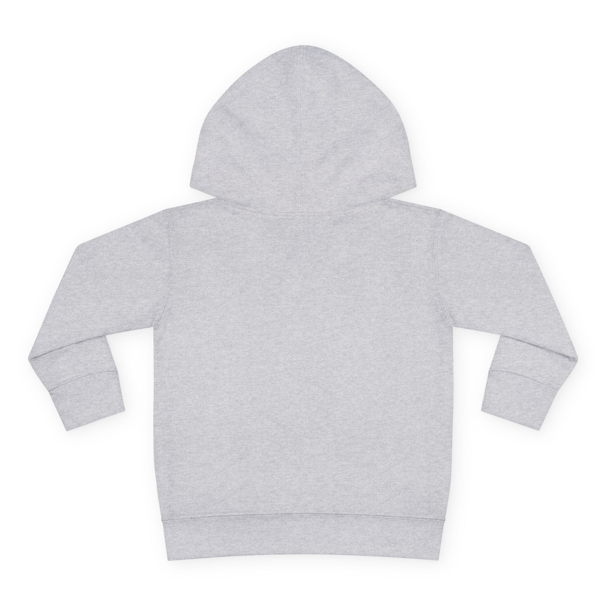 Disneyland way Back Machine Retro Logo Toddler Hoodie | Kids Pullover