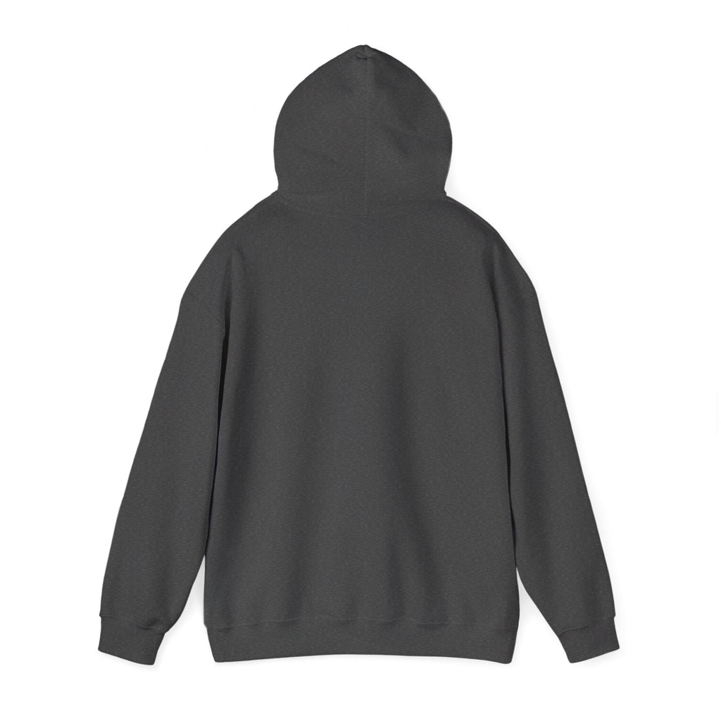 Manhattan Beach South Bay California Unisex Heavy Blend™ Hooded Sweatshirt