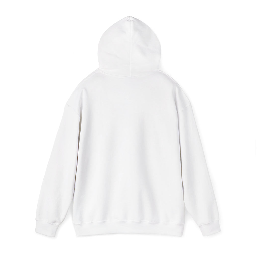 Aviation High School Redondo Beach California  M/W Heavy Blend Hooded Sweatshirt