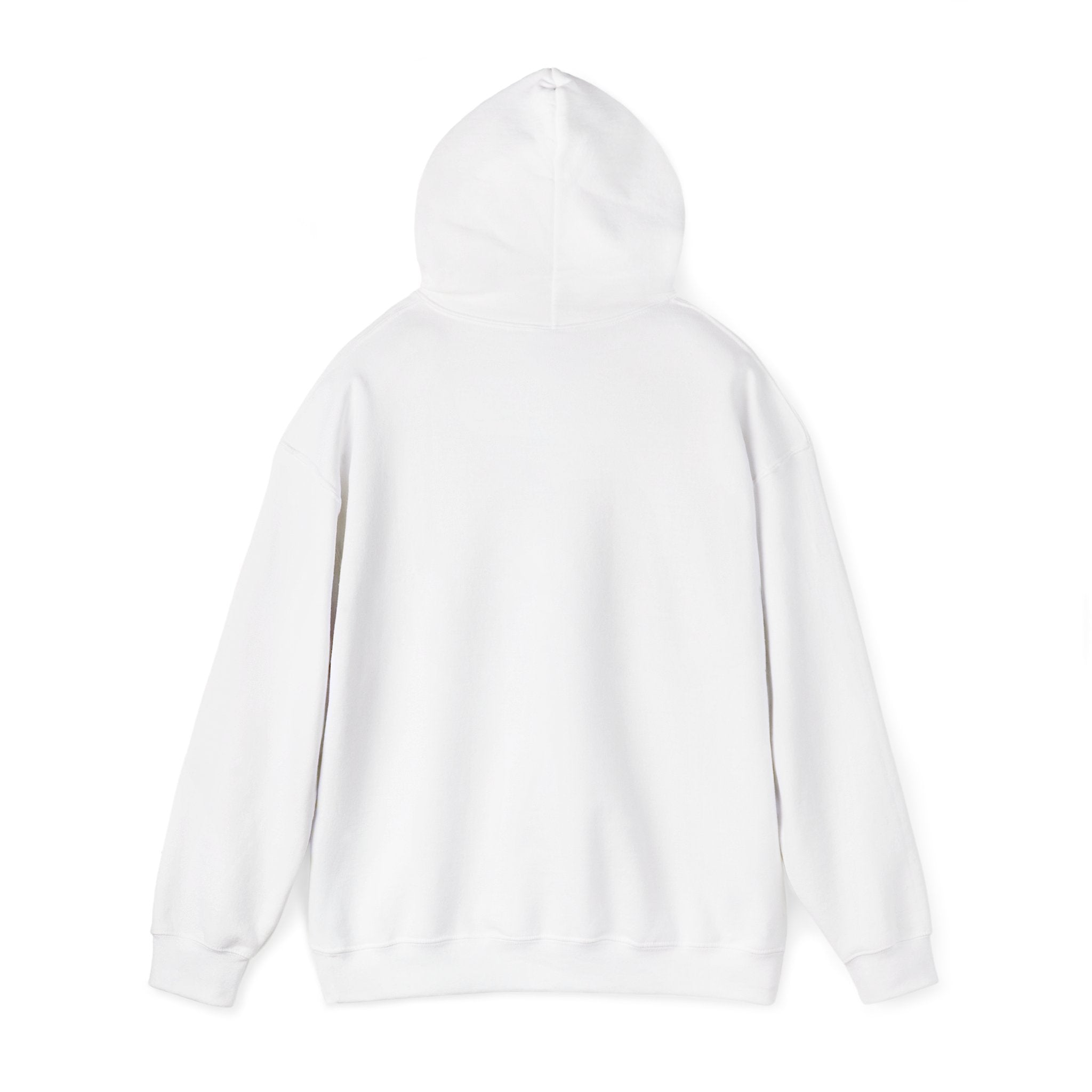 Aviation High School Redondo Beach California  M/W Heavy Blend Hooded Sweatshirt