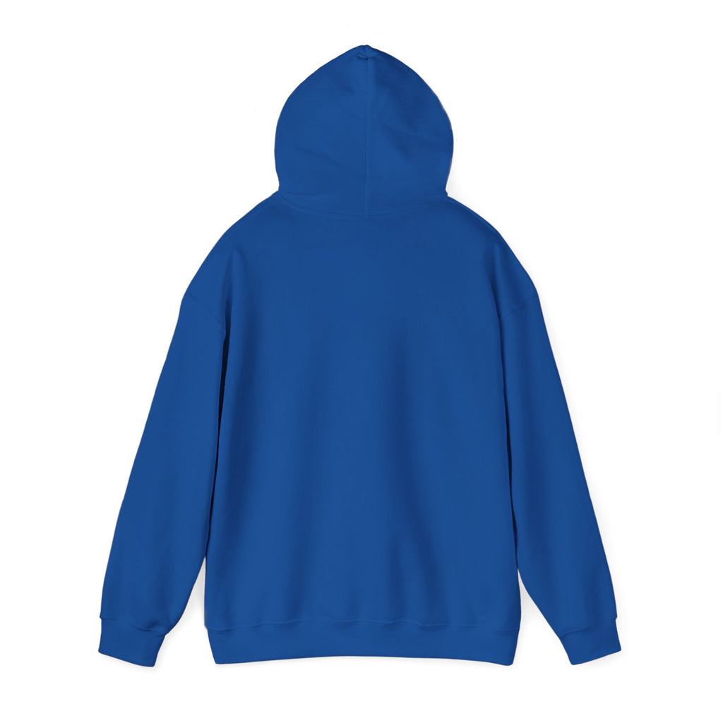 Aviation High School Redondo Beach California - 1957 - 1982 Unisex Heavy Blend Hooded Sweatshirt