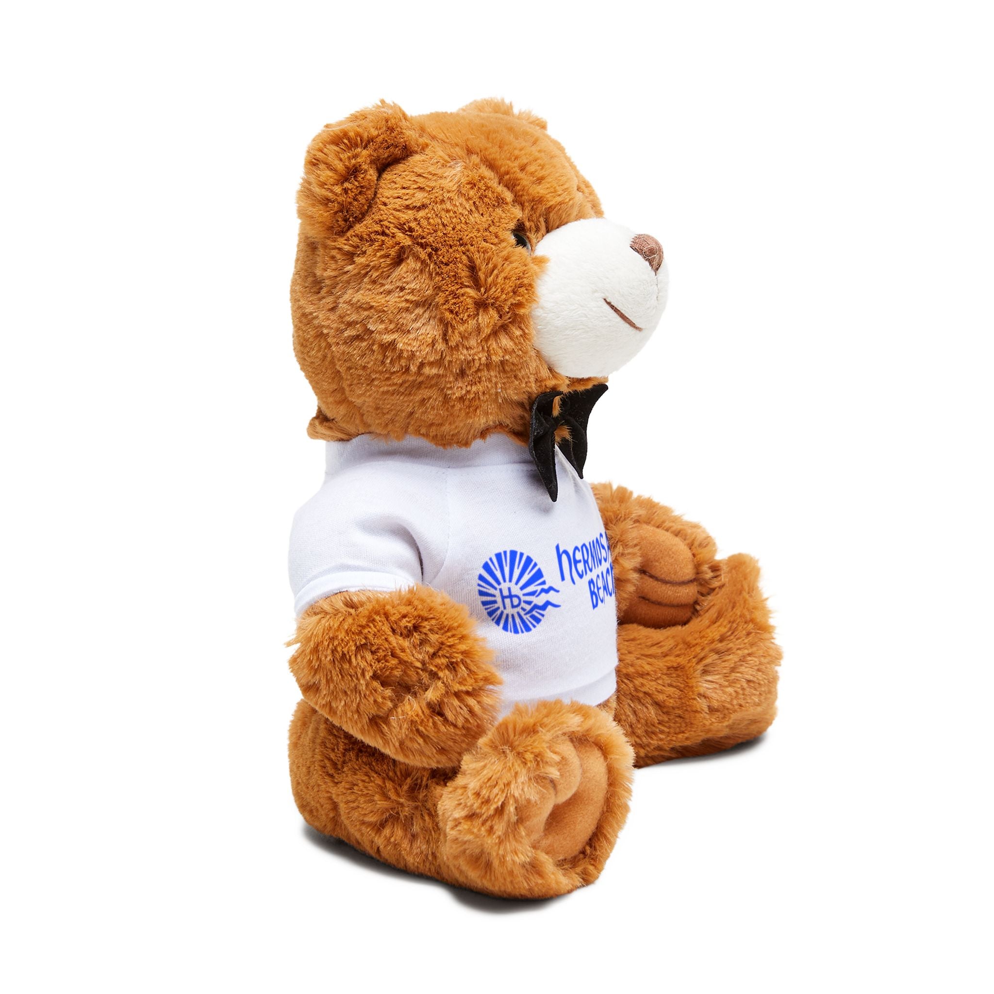 Hermosa Beach Teddy Bear with T-Shirt | Plush Bear Souvenir