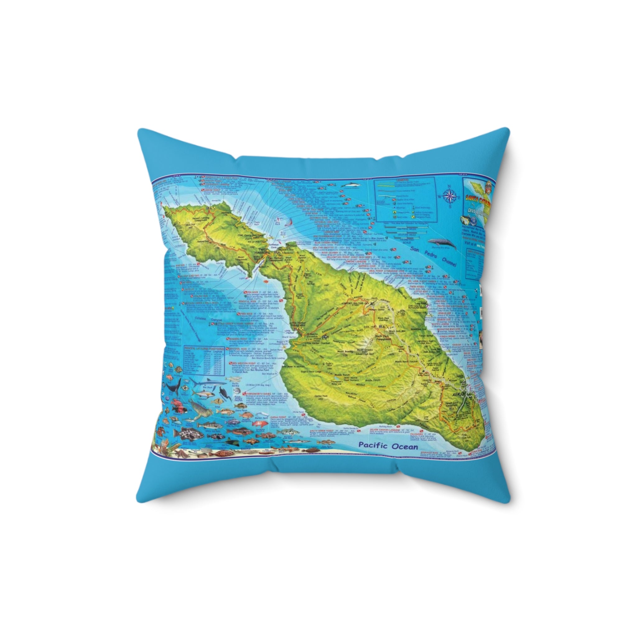 Santa Catalina Island California 90704 #2 Spun Polyester Square Pillow