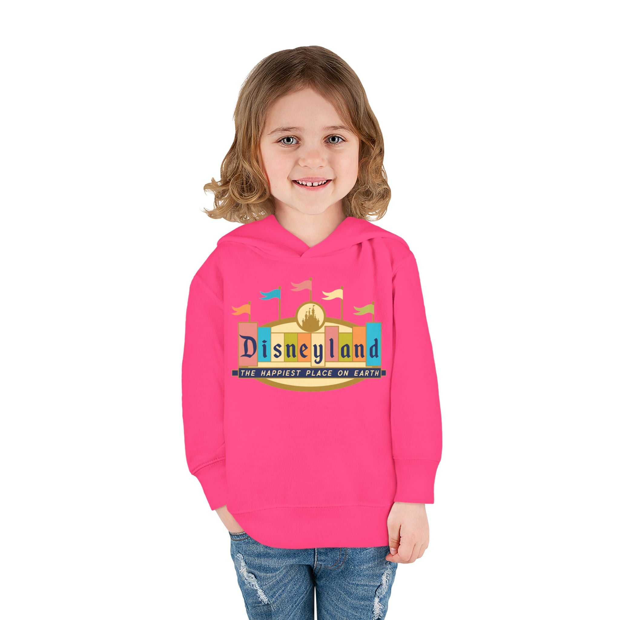 Disneyland way Back Machine Retro Logo Toddler Hoodie | Kids Pullover
