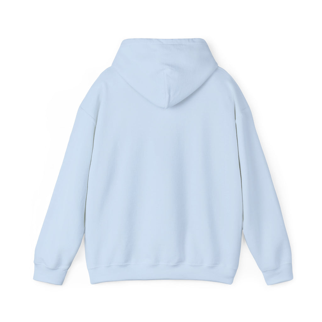 Aviation High School Redondo Beach California - 1957 - 1982 Unisex Heavy Blend Hooded Sweatshirt