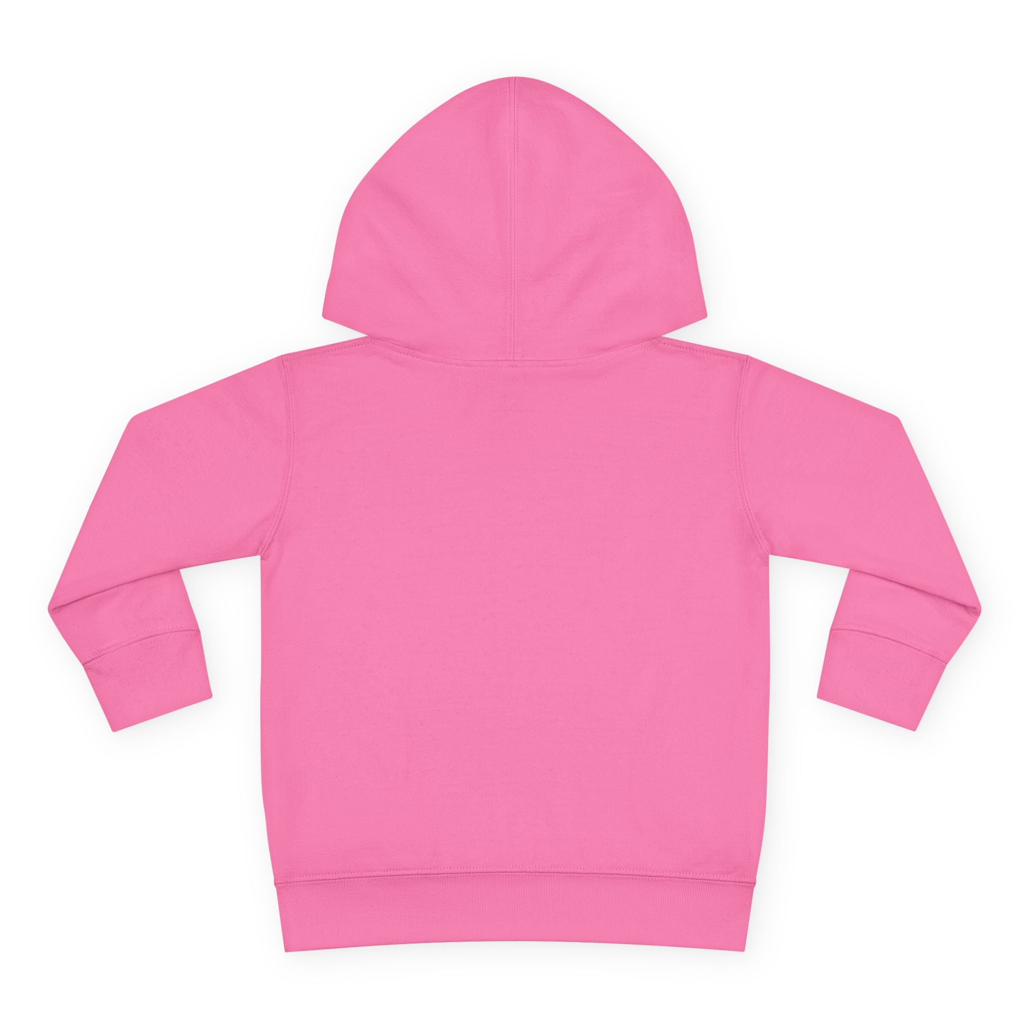 Teddy Bear in Jersey Hoodie | Toddler Pullover Fleece