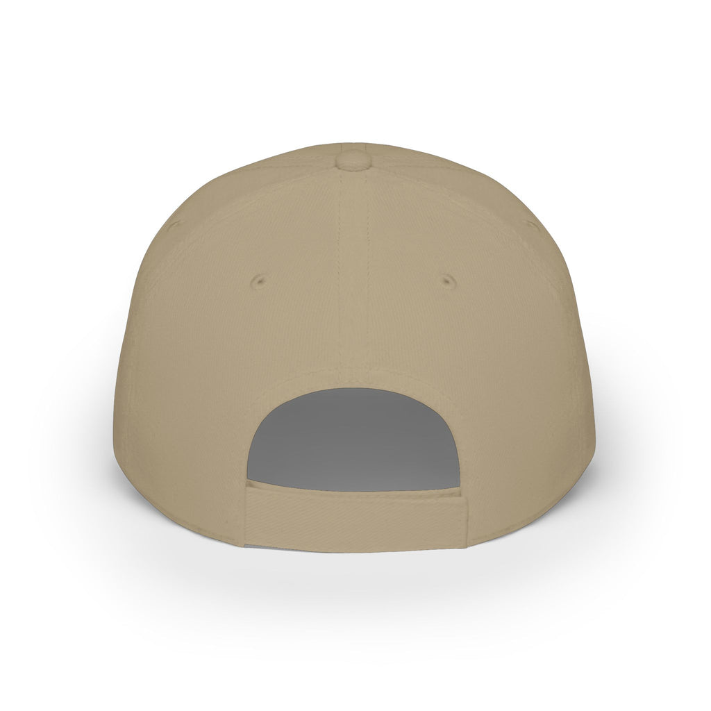 Aviation High School Falcons / Low Profile Baseball Cap