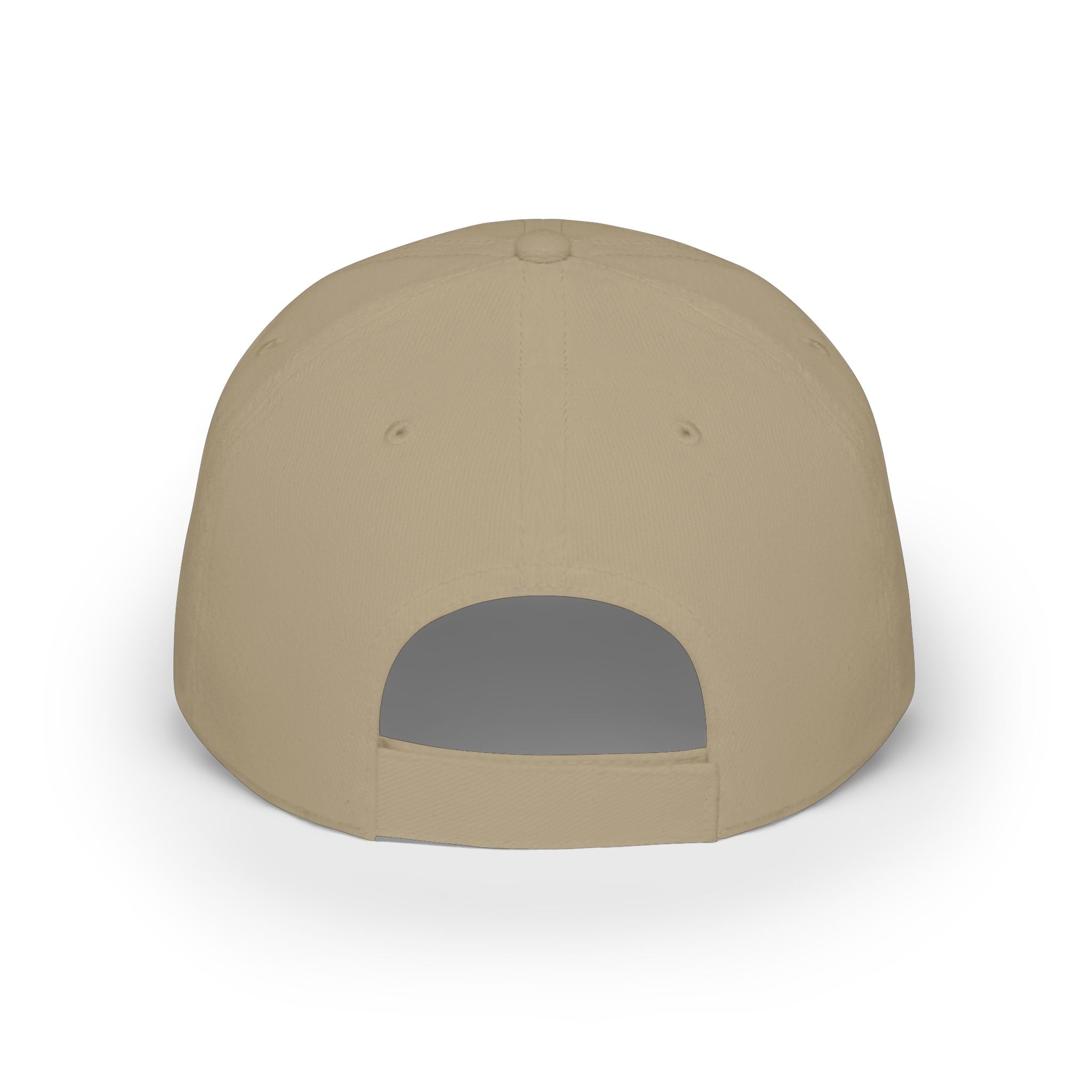 Aviation High School Falcons / Low Profile Baseball Cap