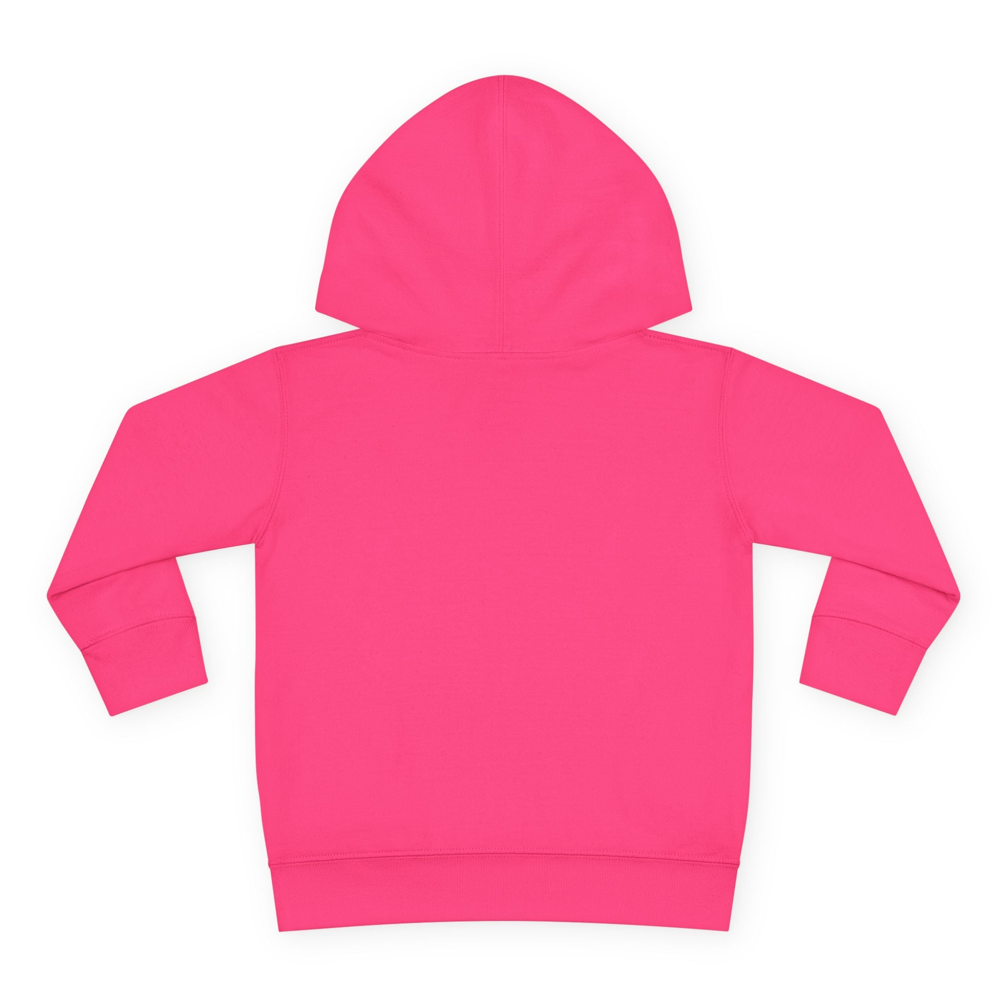 Disneyland Way Back Machine Castle Mickeee Ears Hoodie | Toddler Pullover