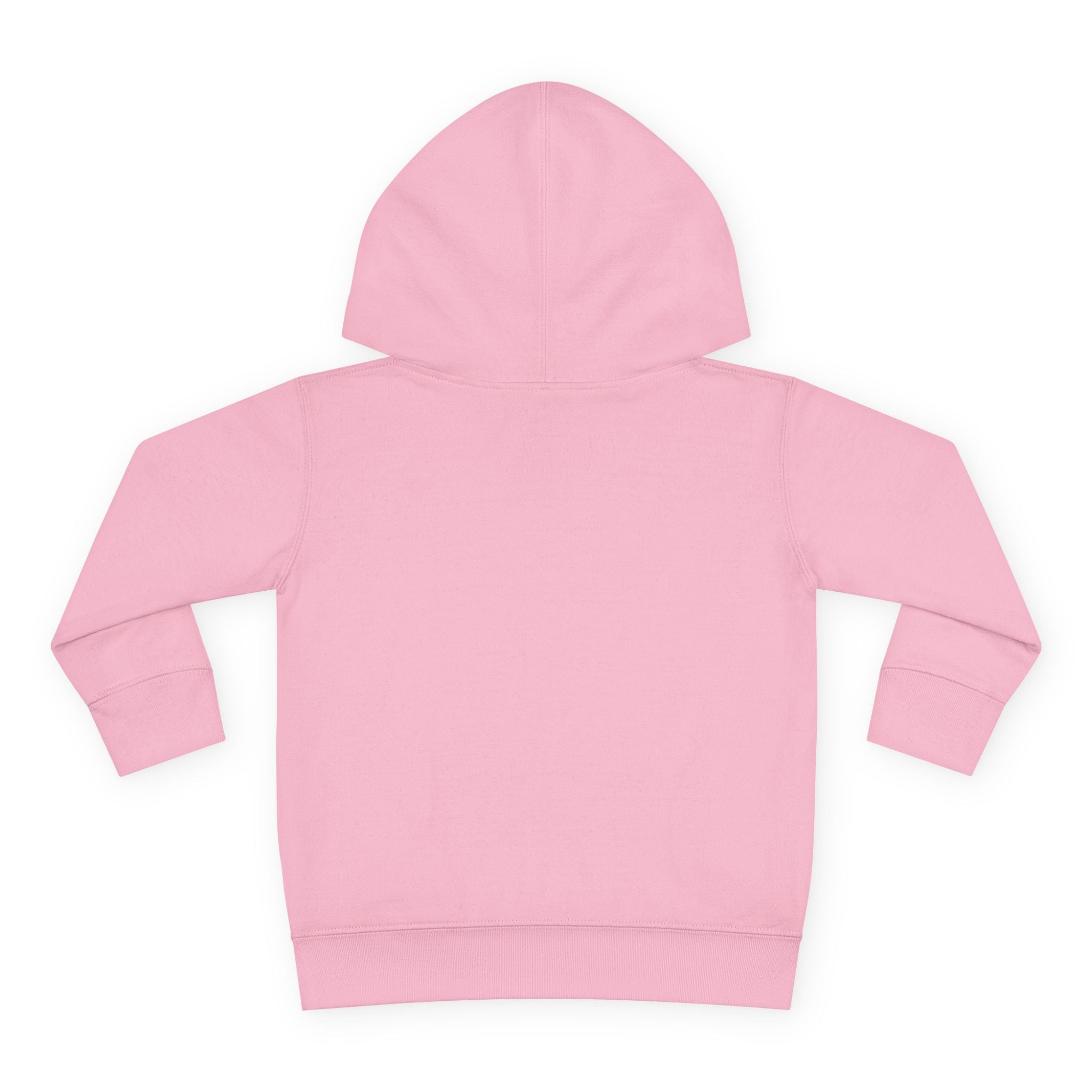 Disneyland Way Back Machine Castle Mickeee Ears Hoodie | Toddler Pullover