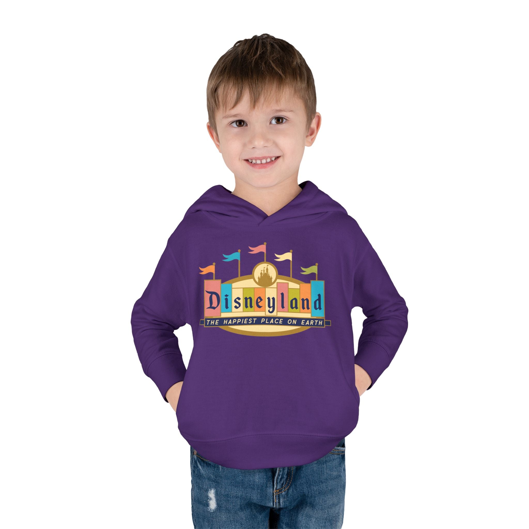 Disneyland way Back Machine Retro Logo Toddler Hoodie | Kids Pullover
