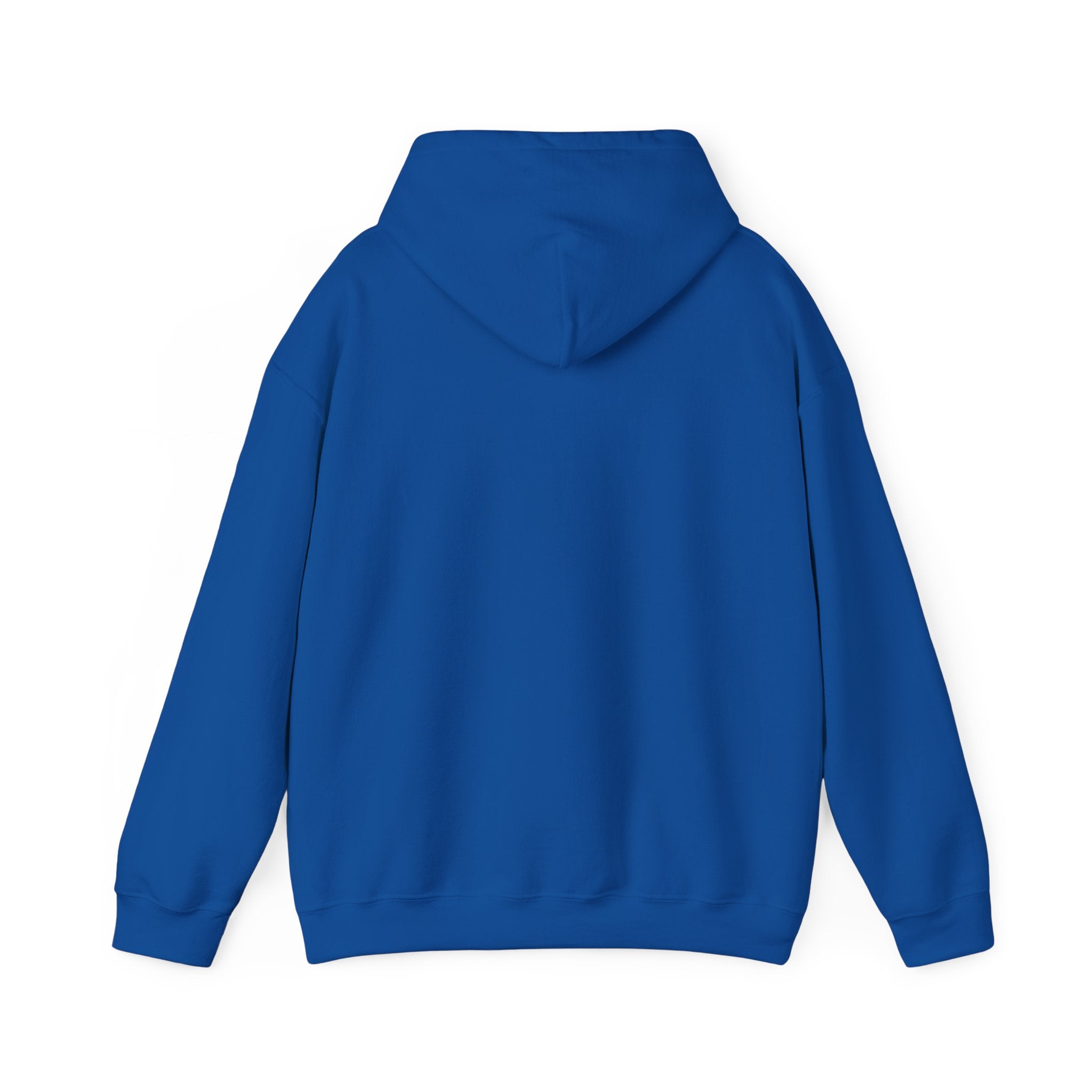 Aviation High School Redondo Beach California  M/W Heavy Blend Hooded Sweatshirt