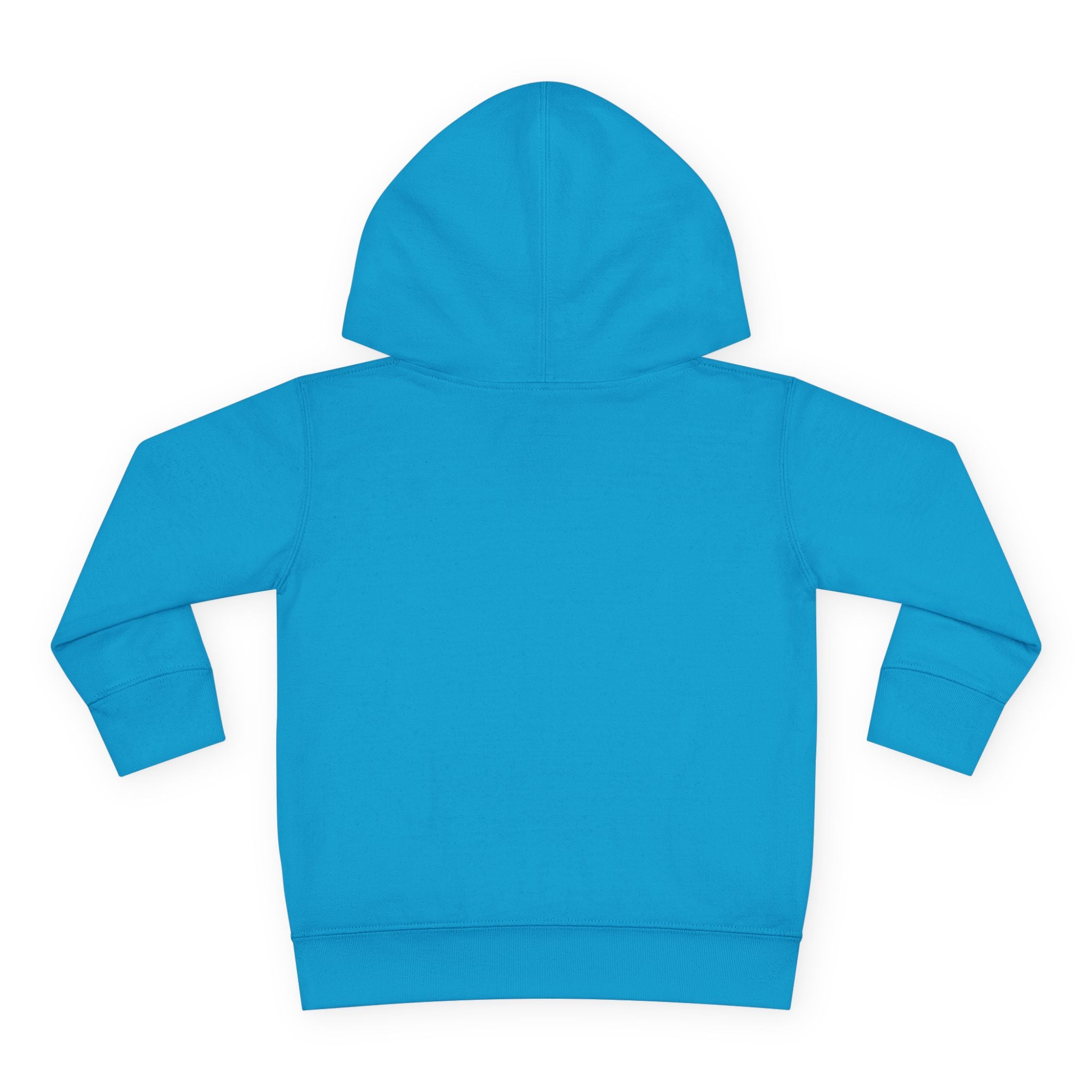 Disneyland way Back Machine Retro Logo Toddler Hoodie | Kids Pullover