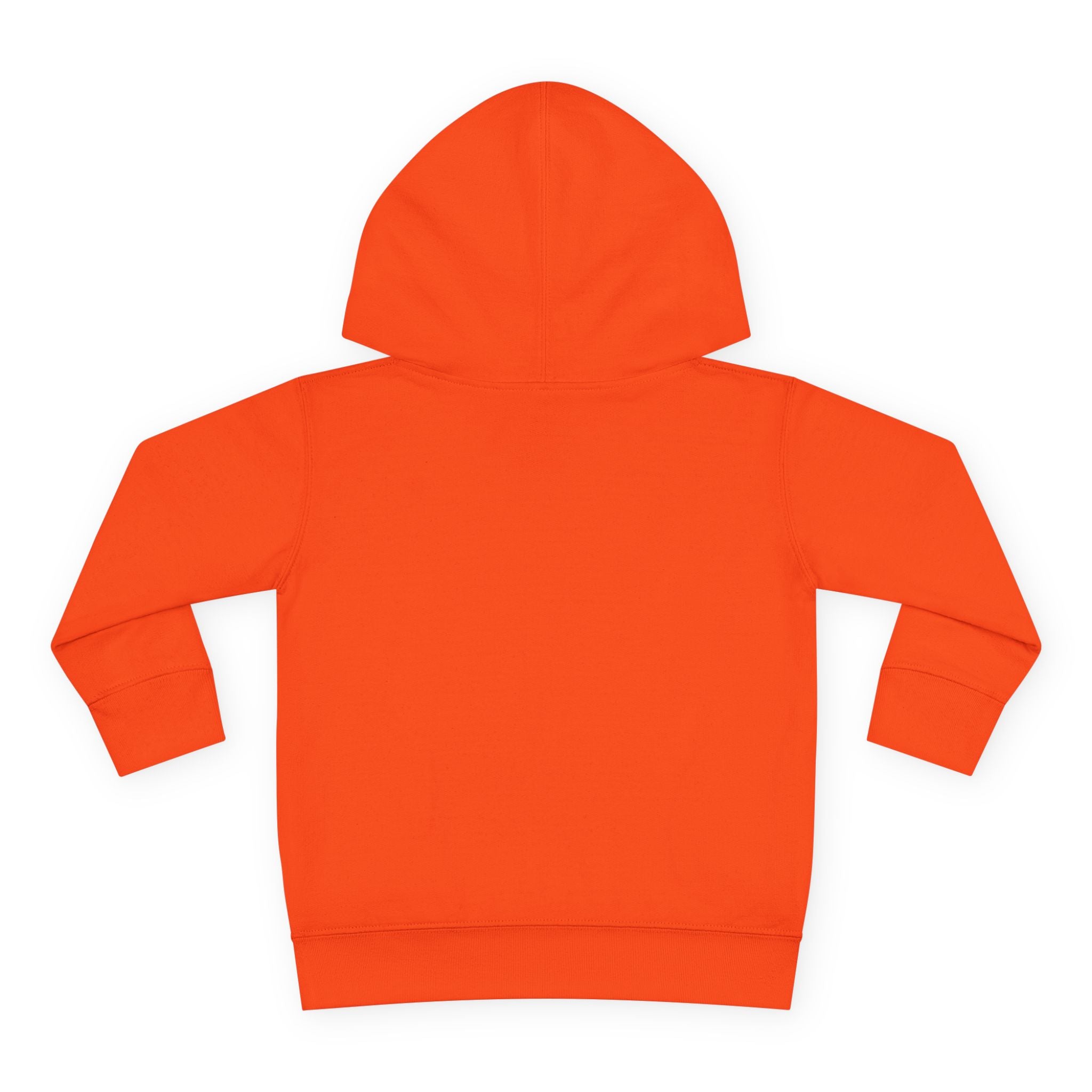 Teddy Bear in Jersey Hoodie | Toddler Pullover Fleece