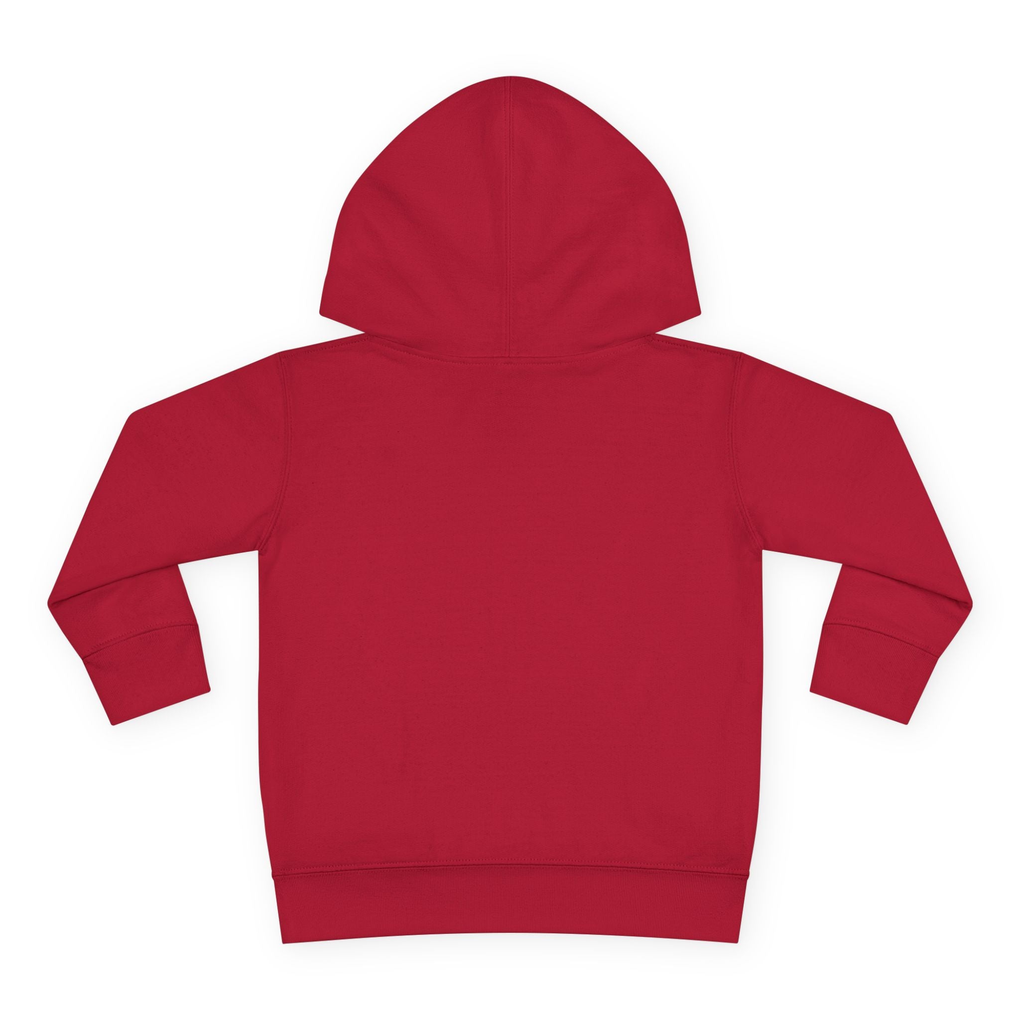 Disneyland Way Back Machine Castle Mickeee Ears Hoodie | Toddler Pullover