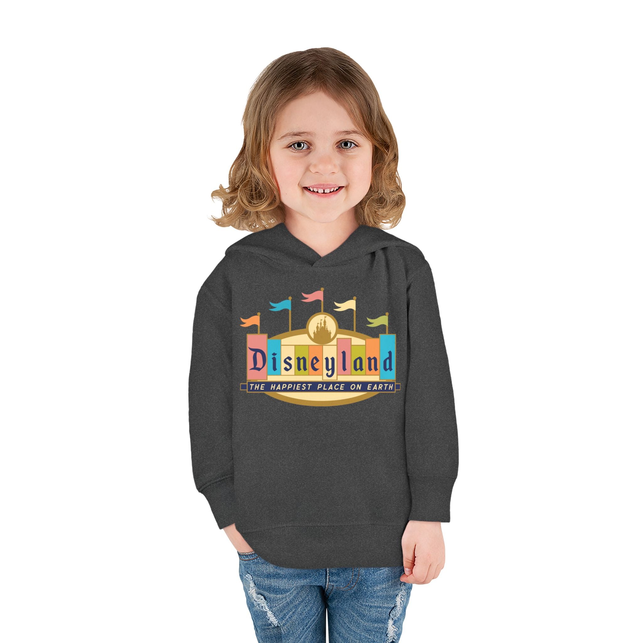 Disneyland way Back Machine Retro Logo Toddler Hoodie | Kids Pullover
