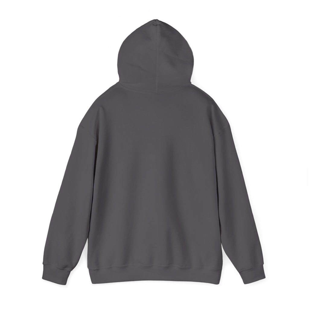 Aviation High School Redondo Beach California - 1957 - 1982 Unisex Heavy Blend Hooded Sweatshirt
