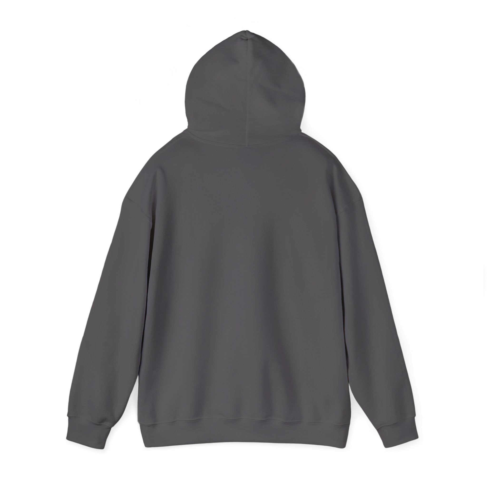 Aviation High School Redondo Beach California - 1957 - 1982 Unisex Heavy Blend Hooded Sweatshirt