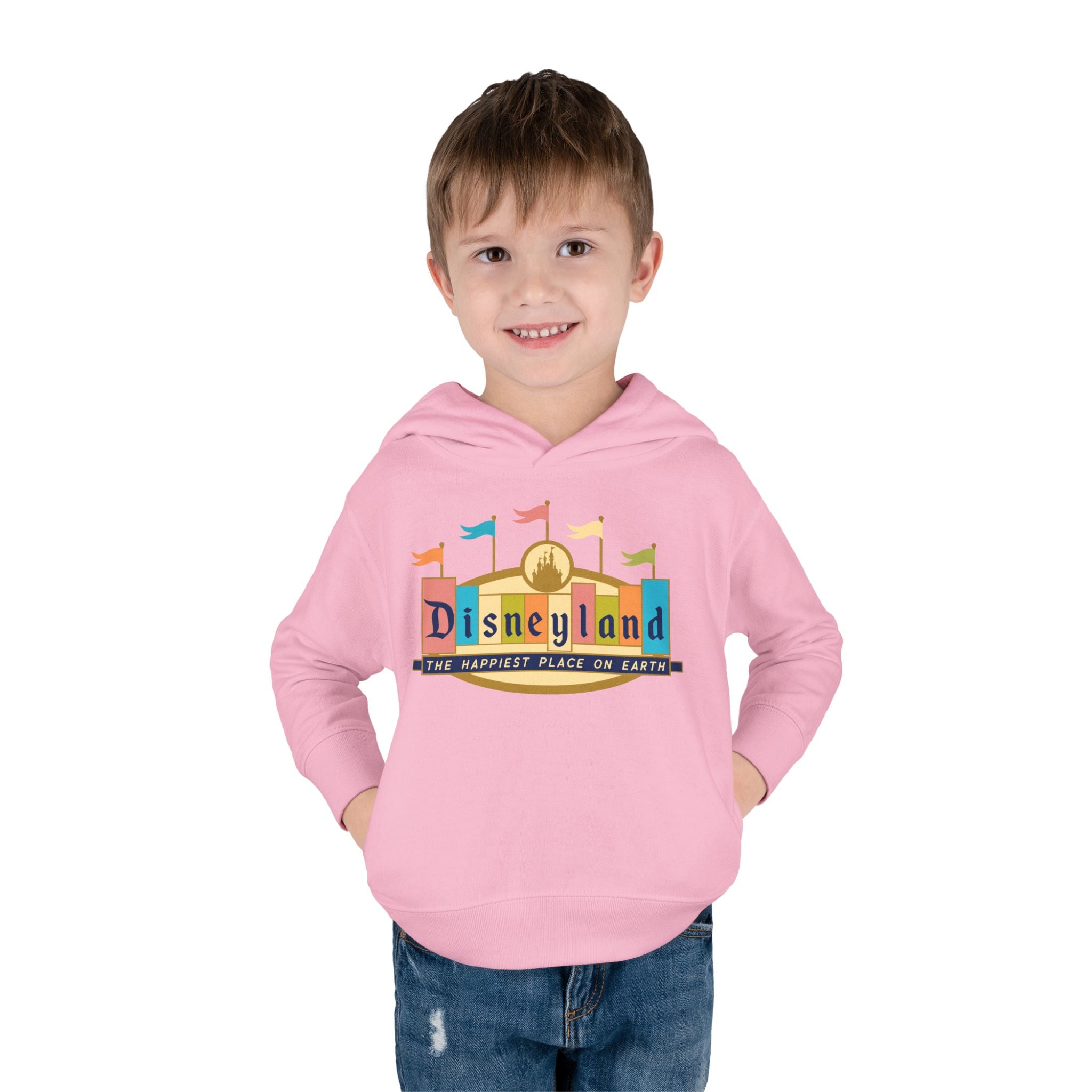 Disneyland way Back Machine Retro Logo Toddler Hoodie | Kids Pullover