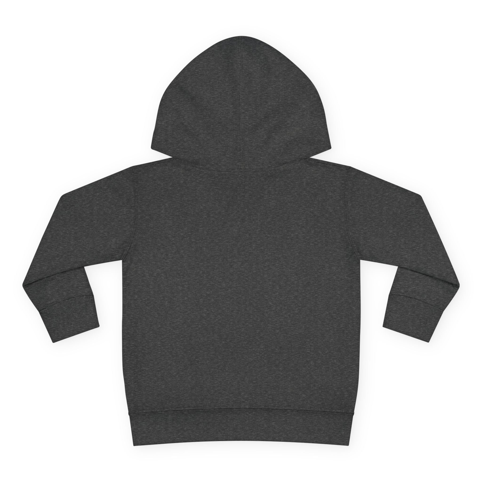 Disneyland way Back Machine Retro Logo Toddler Hoodie | Kids Pullover